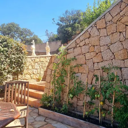 Propriano Vue Apartment *