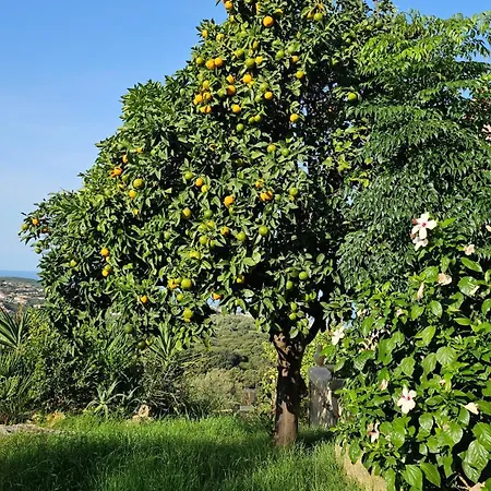 Διαμέρισμα Propriano Vue