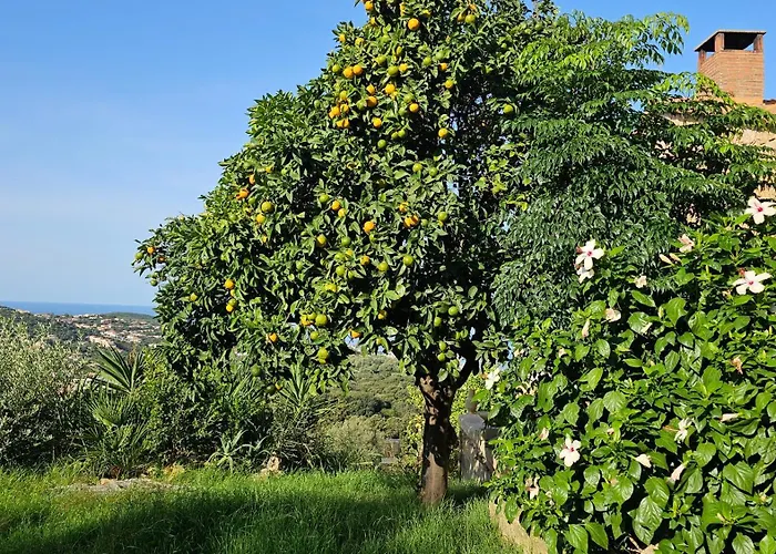 Appartamento Propriano Vue